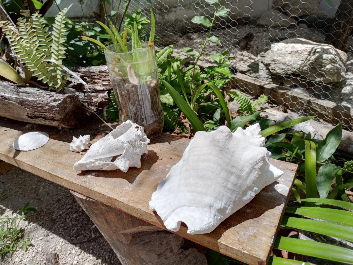 Mi Cuartito En Bacalar Apartment Exterior photo